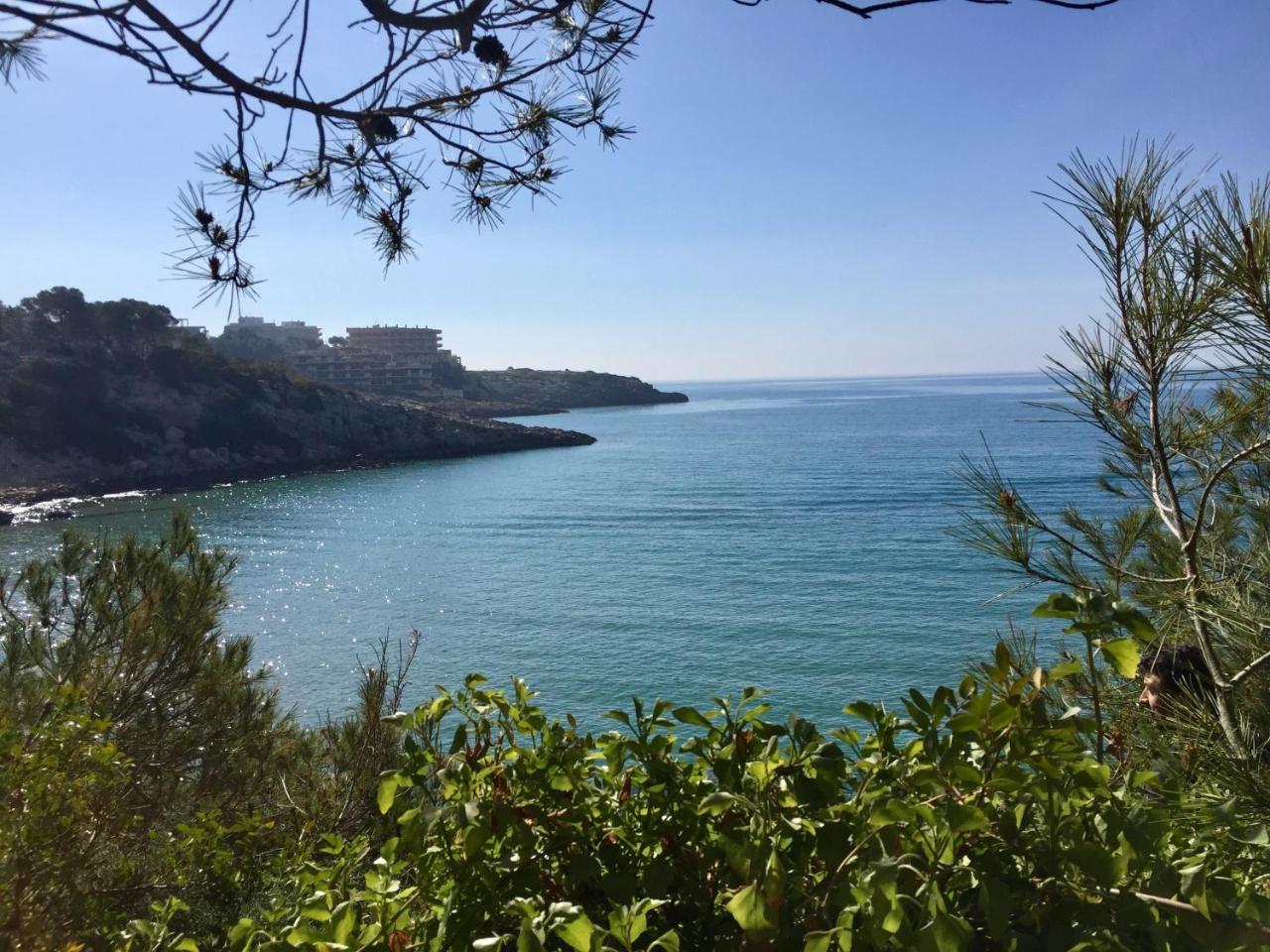 סאלו Ideal Para Descansar, Cerca Del Mar! מראה חיצוני תמונה